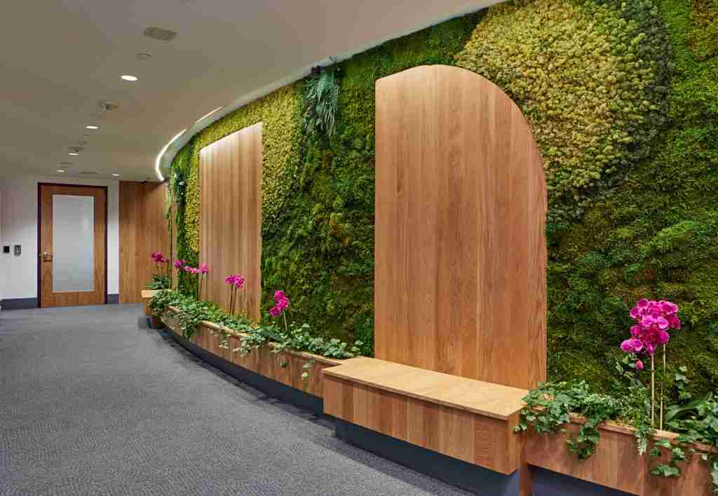 ماس وال - کاماپرس