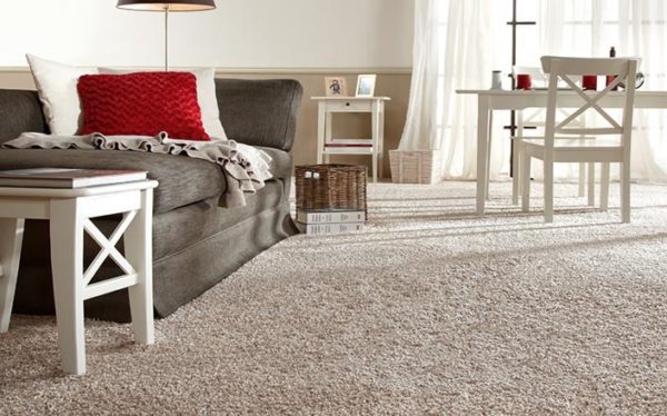 موکت پرزبلند-کاماپرس