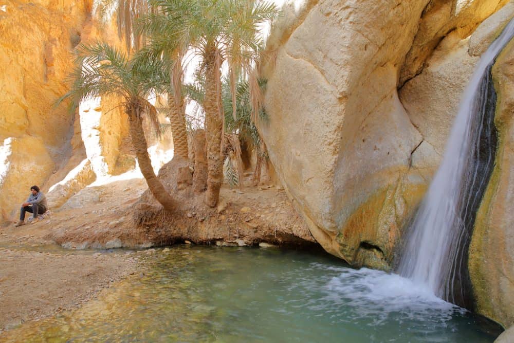 تور تونس - کاماپرس