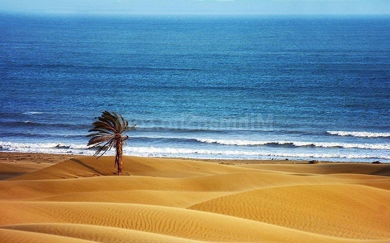 بهترین زمان سفر به چابهار - کاماپرس