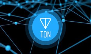 رکوردشکنی عجیب تون کوین