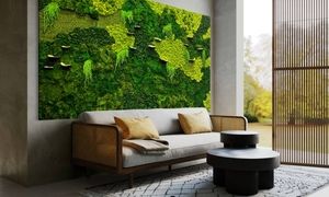اشتباهات مهلک در نگهداری از دیوار خزه ای