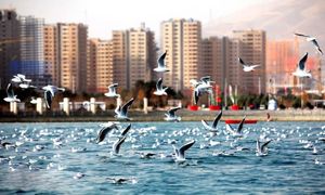 خرید آپارتمان ۱۰۰ متری در چیتگر چقدر آب می‌خورد؟