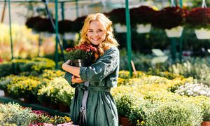5 گیاه آپارتمانی با برگ قلبی برای فضاهای عاشقانه
