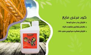 4 نوع کود مرغی که باید با آن آشنا شوید+ شرایط خرید
