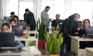 دارکوب؛ دیجیتال مارکتینگ از صفر تا صد