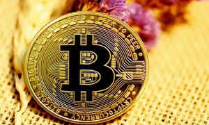 قیمت بیت کوین روز 1 شهریورماه 1401/ ضرر سنگین رمزارز معروف به ماینرها