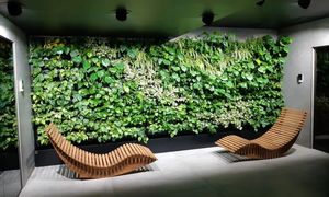 اهمیت دیوار سبز مصنوعی در معماری سبز و مزایای آن