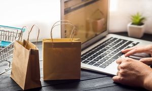 چگونه یک فروشگاه ساز کارآمد برای کسب و کار اینترنتی انتخاب کنیم؟