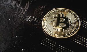 بیت کوین دوباره به اغما رفت!/ قیمت روز 19 آبان ماه 1401