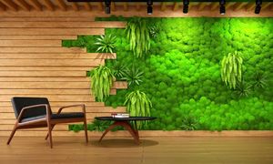 ماس وال یا دیوار خزه ای چیست و چه مزایایی دارد؟