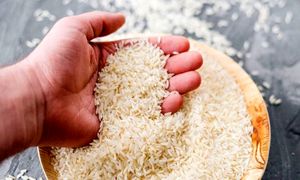 قیمت برنج 10 کیلوگرمی ایرانی در بازار چقدر است؟