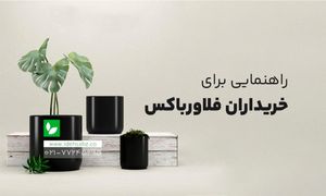 در هنگام خرید فلاور باکس به چه نکاتی دقت کنیم؟+ بهترین سایت خرید فلاور باکس