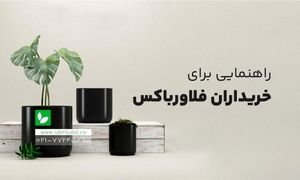 در هنگام خرید فلاور باکس به چه نکاتی دقت کنیم؟+ بهترین سایت خرید فلاور باکس
