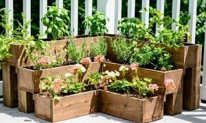 راهنمای جامع خرید فلاور باکس