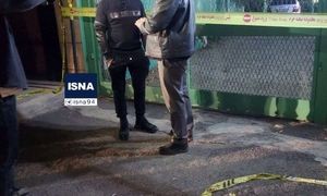 تیپ عجیب امین حیایی در مقابل ویلای داریوش مهرجویی