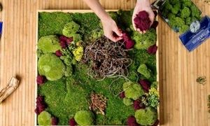 هنر استفاده از قاب‌‌ خزه‌ای در خلق اثر جاودانه از طبیعت