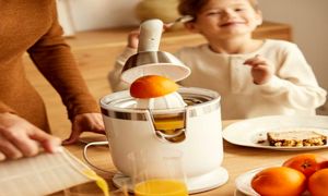 معرفی 5 دستگاه آب مرکبات‌ گیر ارزان + قیمت