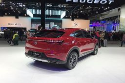 شرایط فروش اقساطی دیگنیتی
