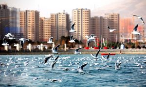 جدیدترین قیمت آپارتمان 65 متری در چیتگر / اسفند 1402