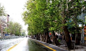 آخرین قیمت رهن و اجاره آپارتمان یک خواب در مرکز شهر تهران