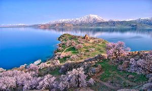 قیمت تور گروهی وان در سال ۱۴۰۳