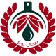 دیجی بوم