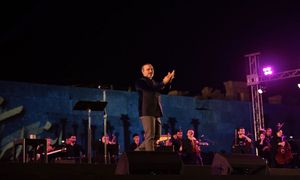 ادعای جالب سخنگوی دولت درباره کنسرت علیرضا قربانی