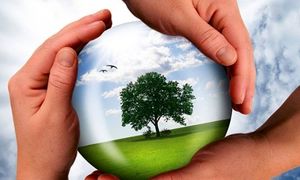 بانک توسعه تعاون حامی محیط زیست