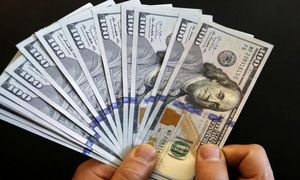 یک ادعای عجیب درباره علت کاهش قیمت دلار