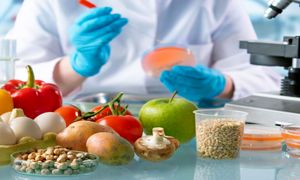 5 شرکت صنایع غذایی که در مردادماه استخدام دارند + میانگین حقوق