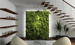 چگونه می توان با خرید گرین وال فضای داخلی یک ساختمان را متحول کرد؟