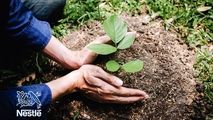 سیر تحول نستله از مسئولیت اجتماعی به خلق ارزش برای جامعه