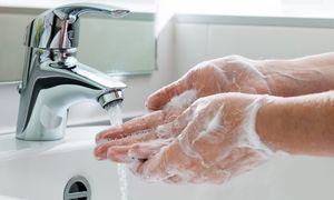 پاکرخ رکورد تولید و فروش خود را شکست