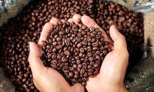خرید قهوه کیلویی چه مزایایی دارد؟