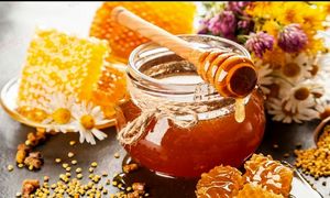 حضور حسن آقامیری در یک ویدیوی تبلیغاتی