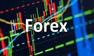 آشنایی با اصطلاحات رایج در بازار فارکس