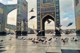 راهنمای کامل تور مشهد
