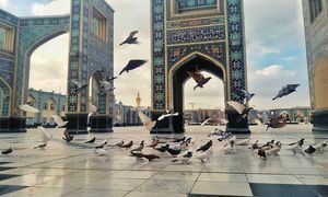 راهنمای کامل تور مشهد