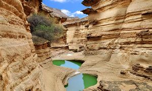 سفری خاطره ‌انگیز به جنوب با تور قشم