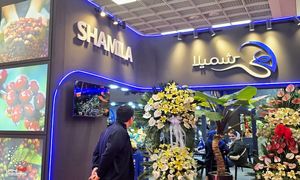 افزایش 500 هزار تومانی قیمت قهوه