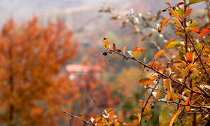 5 روستای پاییزی اطراف تهران برای سفر یک روزه