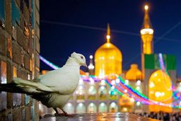 تور لحظه آخری مشهد؛ تجربه‌ ای سریع، اقتصادی و فراموش‌ نشدنی