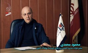 قانونی برای حمایت از برندها نداریم
