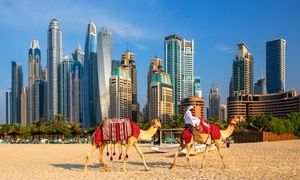 بهترین قیمت تور دبی را از کجا پیدا کنیم؟