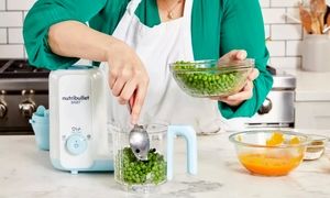 از بین 3 برند غذاساز کنوود، مولینکس و فیلیپس کدامیک برای خرید بهتر است؟