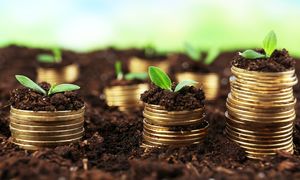 چرا دونگی بهترین گزینه برای سرمایه‌گذاری بلندمدت است؟
