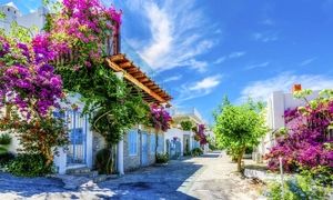 بدروم بهتر است یا کوش آداسی ترکیه ؟