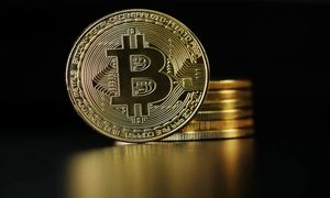 صعود قیمت انتخاب جدید بیت کوین است
