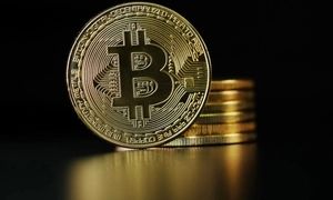 صعود قیمت انتخاب جدید بیت کوین است